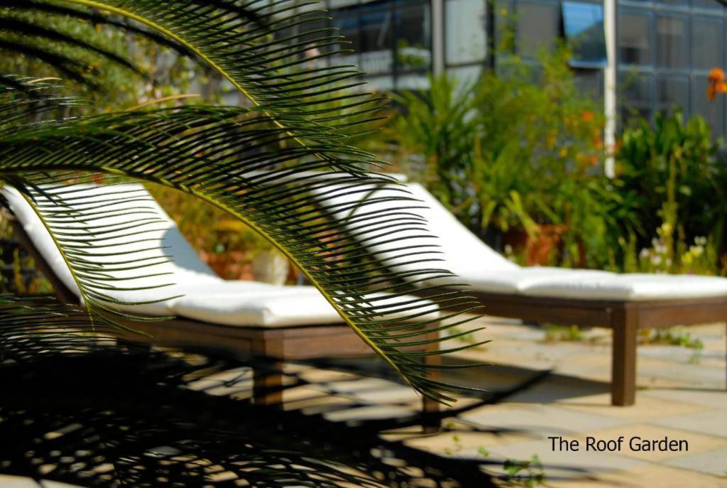 Apartamento With Roof Garden-american Embassy Area-fast Internet Atenas